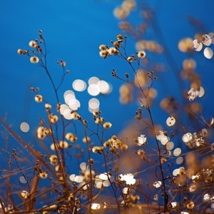 美國留學6個背景提升途徑，哪個更適合你？